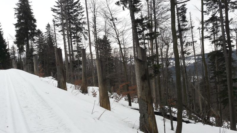 gal/2018/03_Bezky Gerlovka/20180127_111400.jpg